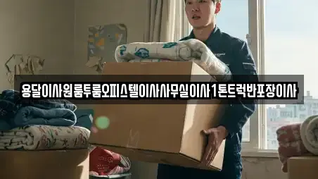 용달이사원룸투룸오피스텔이사사무실이사1톤트럭반포장이사