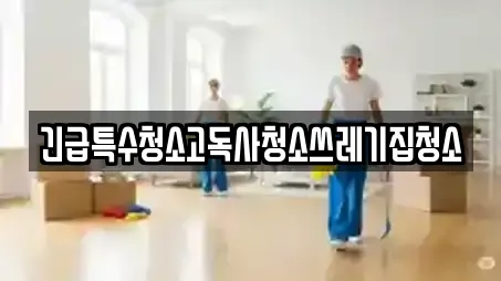 긴급특수청소고독사청소쓰레기집청소