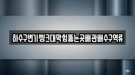 하수구변기씽크대막힘뚫는곳배관배수구역류