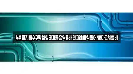 누수탐지하수구막힘싱크대뚫음역류배관고압세척뚫어뻥다고쳐설비