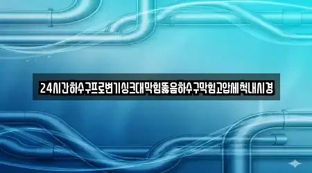 24시간하수구프로변기싱크대막힘뚫음하수구막힘고압세척내시경