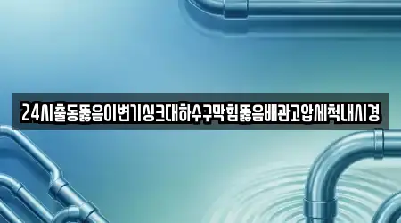 24시출동뚫음이변기싱크대하수구막힘뚫음배관고압세척내시경