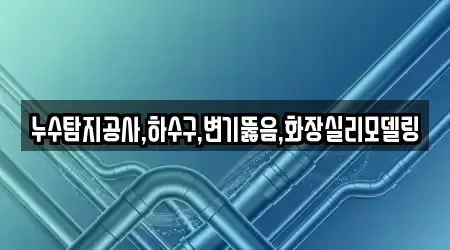 누수탐지공사,하수구,변기뚫음,화장실리모델링