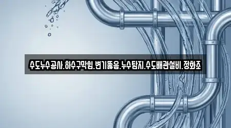 수도누수공사.하수구막힘.변기뚫음.누수탐지.수도배관설비.정화조