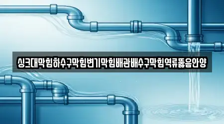 싱크대막힘하수구막힘변기막힘배관배수구막힘역류뚫음안양