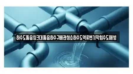하수도뚫음싱크대뚫음하수구배관청소하수도역류변기막힘수도해빙