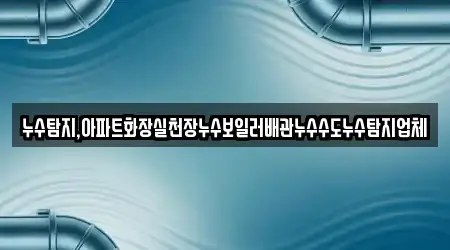 누수탐지,아파트화장실천장누수보일러배관누수수도누수탐지업체