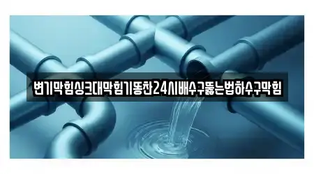 변기막힘싱크대막힘기똥찬24시배수구뚫는법하수구막힘
