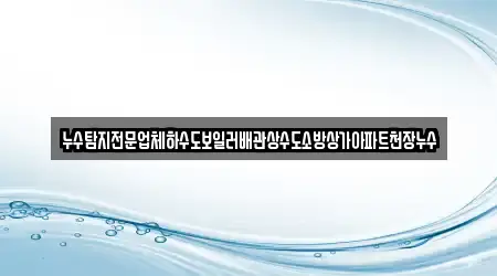 누수탐지전문업체하수도보일러배관상수도소방상가아파트천장누수