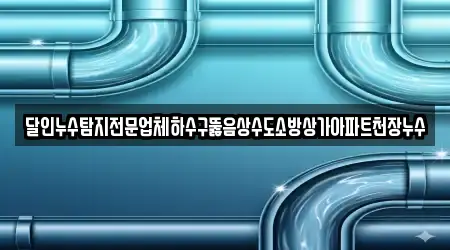 달인누수탐지전문업체하수구뚫음상수도소방상가아파트천장누수