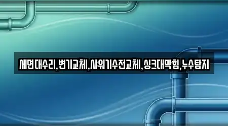 세면대수리,변기교체,샤워기수전교체,싱크대막힘,누수탐지