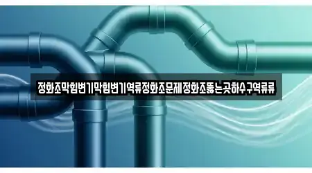 정화조막힘변기막힘변기역류정화조문제정화조뚫는곳하수구역류류