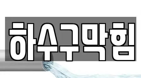 17 바로 하수구막힘 경기 시흥 논곡동 위치