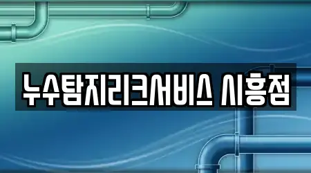 누수탐지리크서비스 시흥점