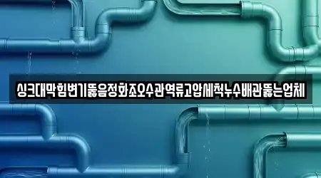 싱크대막힘변기뚫음정화조오수관역류고압세척누수배관뚫는업체