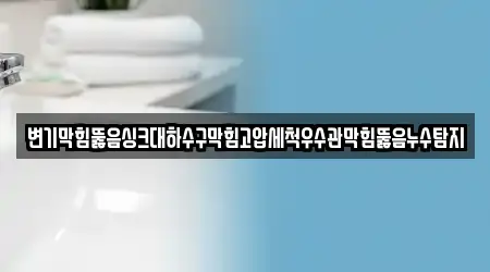 변기막힘뚫음싱크대하수구막힘고압세척우수관막힘뚫음누수탐지