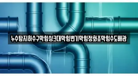 누수탐지하수구막힘싱크대막힘변기막힘정화조막힘수도배관