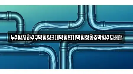 누수탐지하수구막힘싱크대막힘변기막힘정화조막힘수도배관