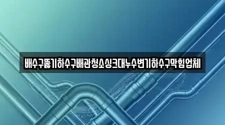 배수구뚫기하수구배관청소싱크대누수변기하수구막힘업체