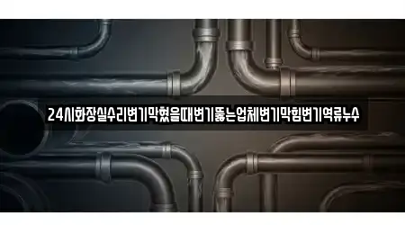 24시화장실수리변기막혔을때변기뚫는업체변기막힘변기역류누수