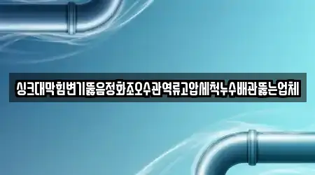 싱크대막힘변기뚫음정화조오수관역류고압세척누수배관뚫는업체