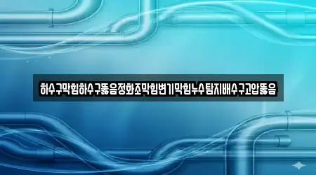 하수구막힘하수구뚫음정화조막힘변기막힘누수탐지배수구고압뚫음