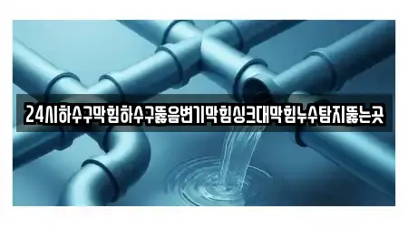 24시하수구막힘하수구뚫음변기막힘싱크대막힘누수탐지뚫는곳
