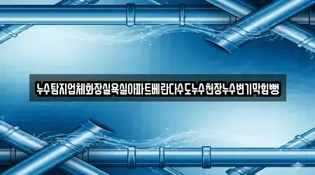 누수탐지업체화장실욕실아파트베란다수도누수천장누수변기막힘뻥