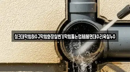 싱크대막힘하수구막힘화장실변기막힘뚫는업체세면대수리욕실누수