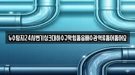누수탐지24시변기싱크대하수구막힘뚫음배수관역류뚫어뚫어요