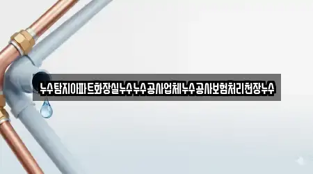 누수탐지아파트화장실누수누수공사업체누수공사보험처리천장누수