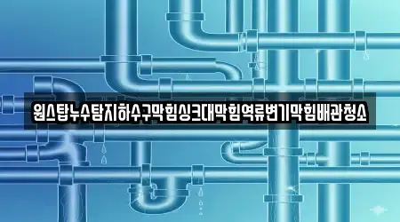 원스탑누수탐지하수구막힘싱크대막힘역류변기막힘배관청소