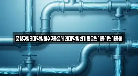중랑구싱크대막힘하수구뚫음세면대막힘변기뚫음변기뚫기변기뚫어