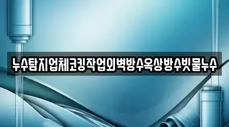 누수탐지업체코킹작업외벽방수옥상방수빗물누수
