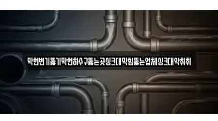 막힌변기뚫기막힌하수구뚫는곳싱크대막힘뚫는업체싱크대악취취