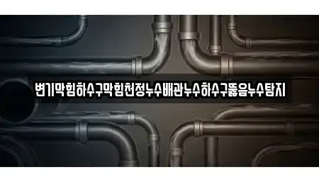 변기막힘하수구막힘천정누수배관누수하수구뚫음누수탐지