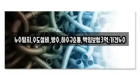 누수탐지,수도설비,방수,하수구소통,책임보험3억,가건누수