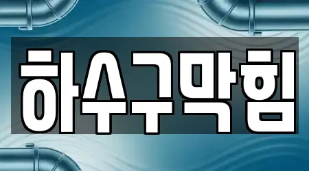 경기도 이천 장록동 가까운 하수구막힘,변기뚫음,누수,싱크대뚫음,변기막힘 업체 17 위치정보