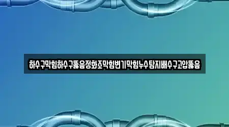 하수구막힘하수구뚫음정화조막힘변기막힘누수탐지배수구고압뚫음