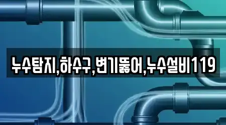 누수탐지,하수구,변기뚫어,누수설비119