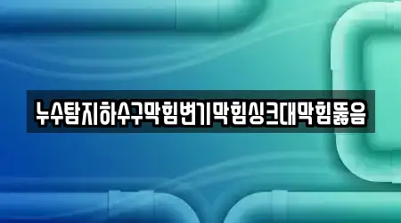 누수탐지하수구막힘변기막힘싱크대막힘뚫음