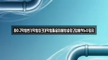 하수구막힘변기막힘싱크대막힘뚫음미세방충망고압세척누수탐지