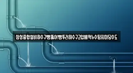 삼성종합설비하수구뻥뚫어뻥뚜러하수구고압세척누수탐지마당수도