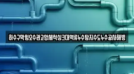 하수구막힘오수관고압세척싱크대역류누수탐지수도누수공사해빙