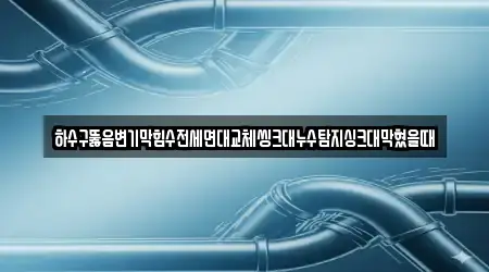 하수구뚫음변기막힘수전세면대교체씽크대누수탐지싱크대막혔을때