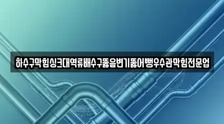 하수구막힘싱크대역류배수구뚫음변기뚫어뻥우수관막힘전문업