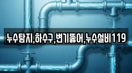 누수탐지,하수구,변기뚫어,누수설비119