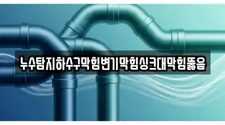 누수탐지하수구막힘변기막힘싱크대막힘뚫음