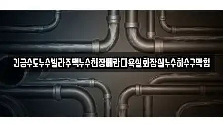 긴급수도누수빌라주택누수천장베란다욕실화장실누수하수구막힘