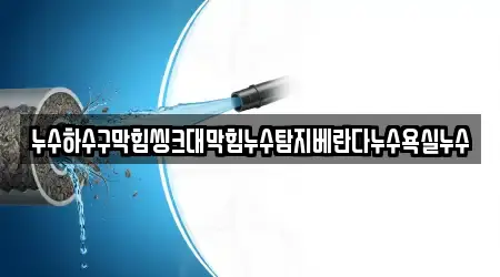 누수하수구막힘씽크대막힘누수탐지베란다누수욕실누수